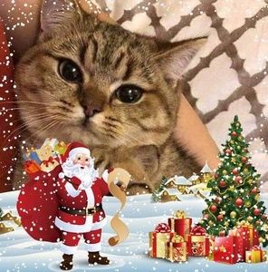 Meet your Posher, Lízeth